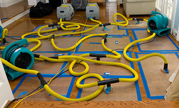 Professional Sewage Cleanup technician working in Wiggins, CO